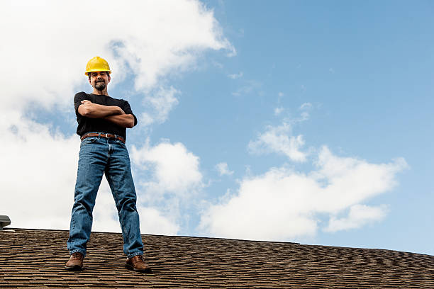 Best Roof Gutter Cleaning  in Independence, IA